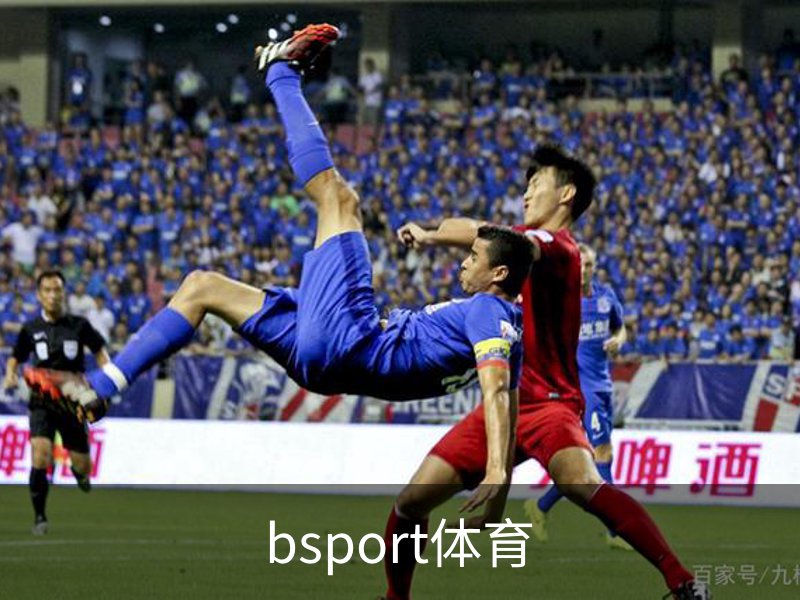 走进bsport体育